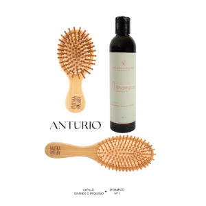 Kit Anturio